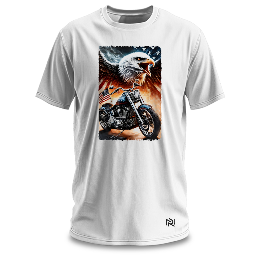 Camiseta Masculina American Eagle